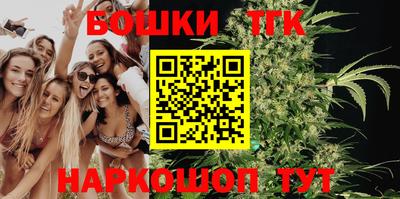 тгк Партизанск