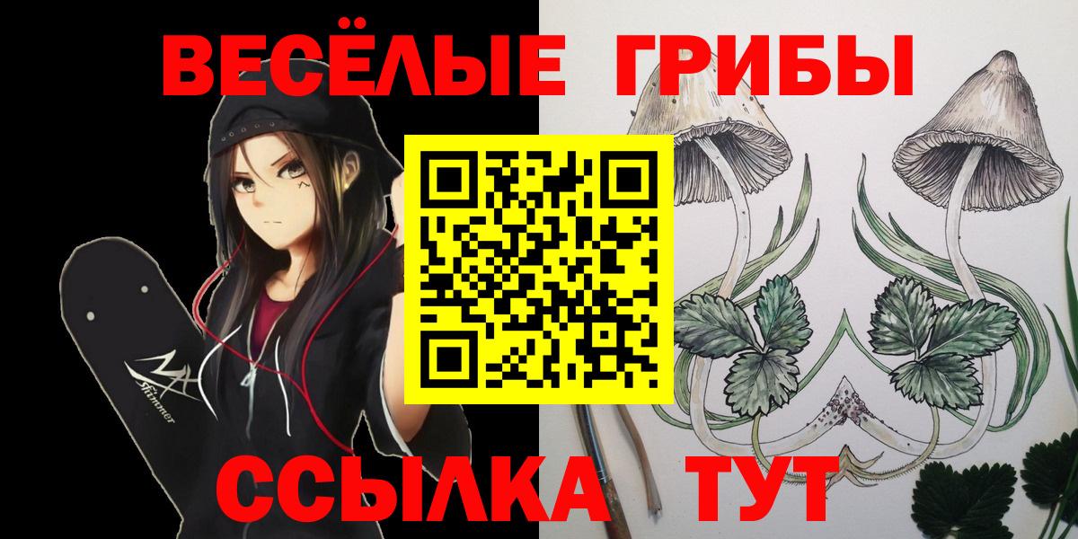 Псилоцибиновые грибы ЛСД Славгород
